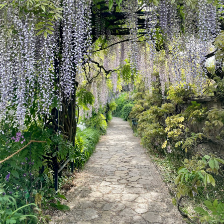 Gartenweg einfach selber machen