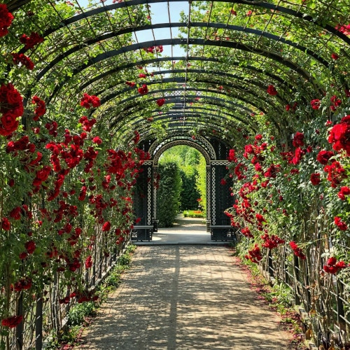 GARTENWEG mit Rosen